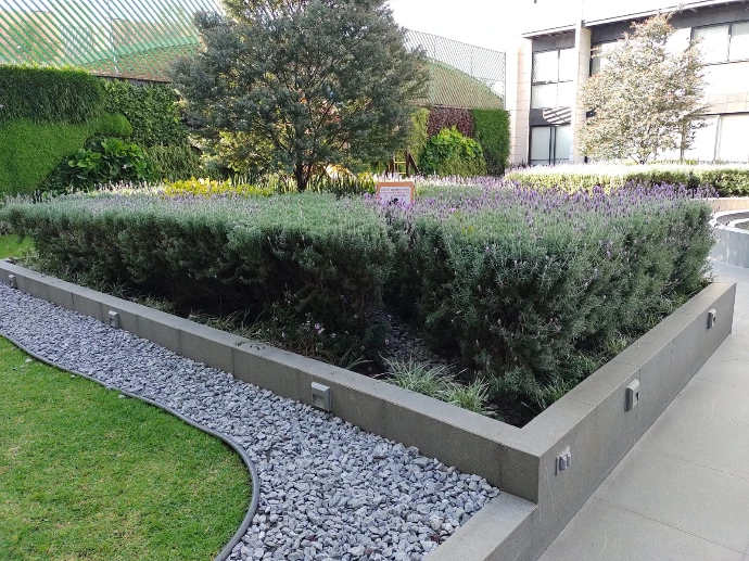Jardinería en corporativos con fachada verde, jardín perimetral y azotea verde de uso mixto. Jardinería en corporativos con fachada verde, jardín perimetral y azotea verde de uso mixto.