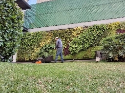 Mantenimiento de áreas verdes Mantenimiento de áreas verdes