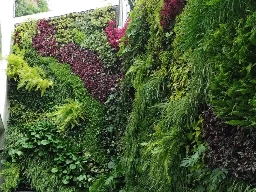 Muro Verde residencial