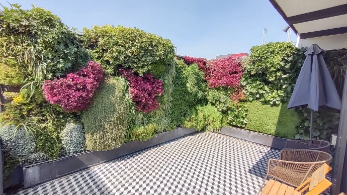 Muro Verde en Terraza