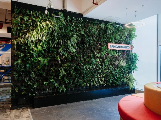 Muro Verde en oficinas